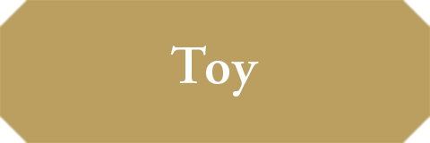 Toy