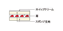 断面図