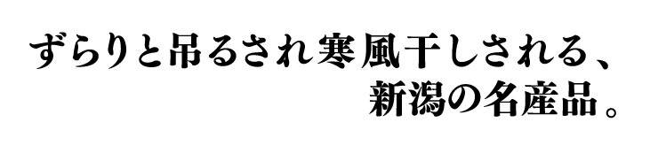 ずらりと吊るされ寒風干しされる、新潟の名産品。