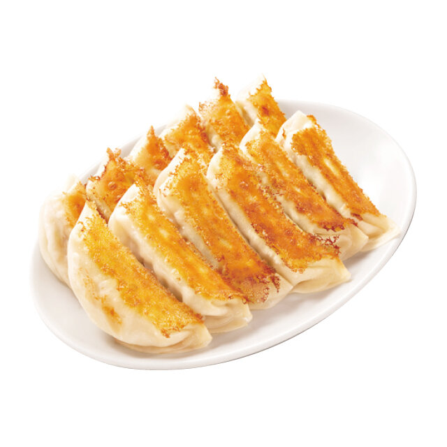 厳選6店舗 宇都宮餃子 各種