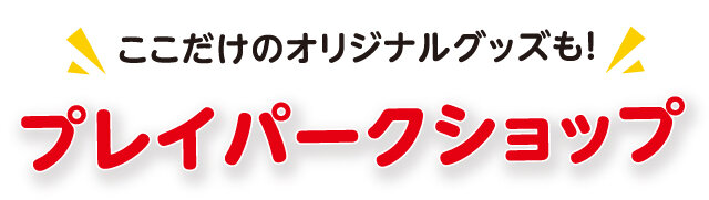 プレイパークショップ