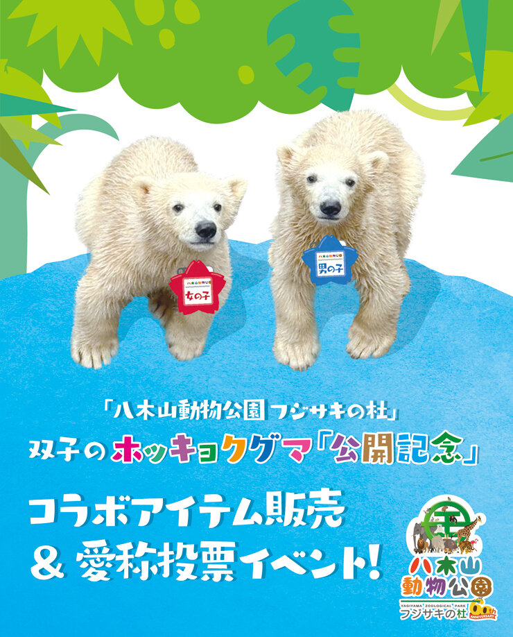 ホッキョクグマ
