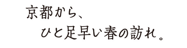 京都から、ひと足早い春の訪れ。