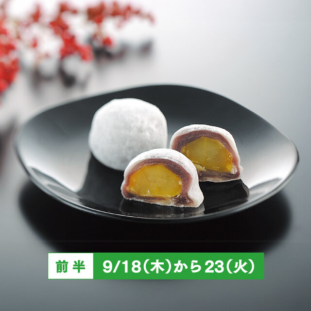 栗本陣