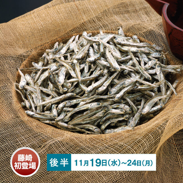 瀬戸内の銀鱗いりこ