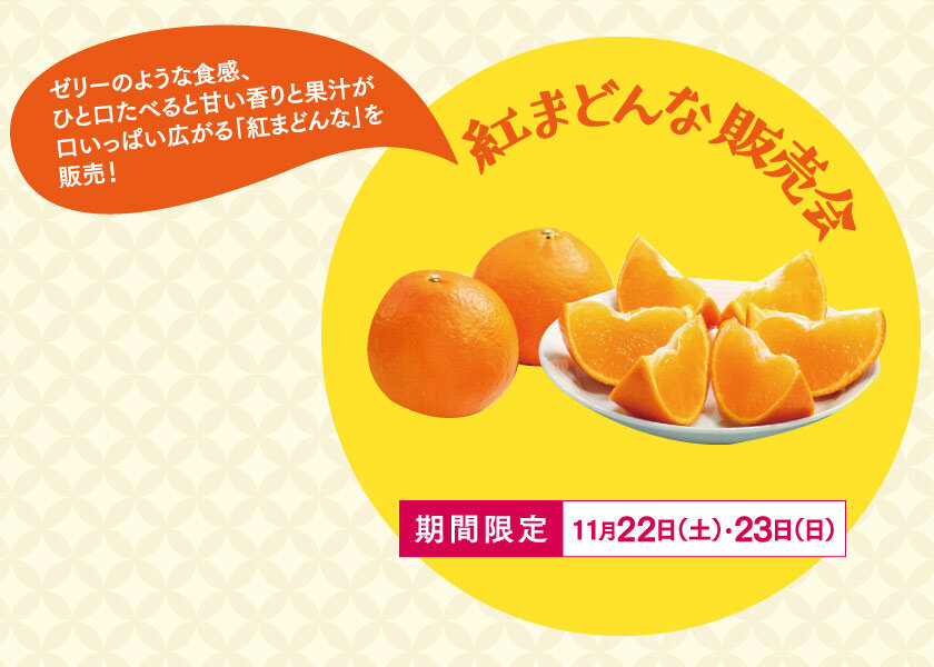 紅まどんな販売会