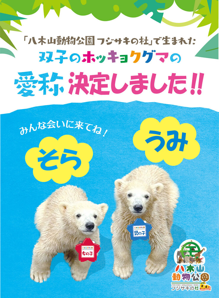 ホッキョクグマ
