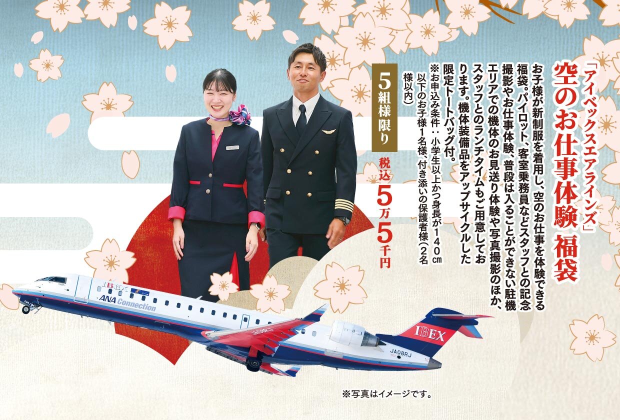 「アイベックス」空のお仕事体験 福袋