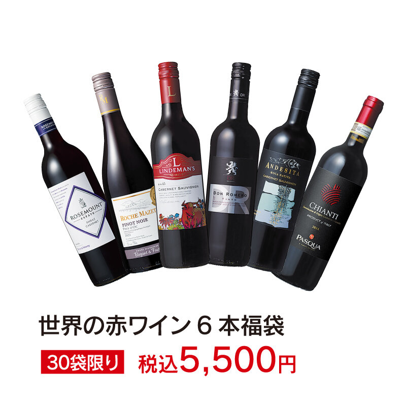 世界の赤ワイン6本福袋　30袋限り　税込5,500円