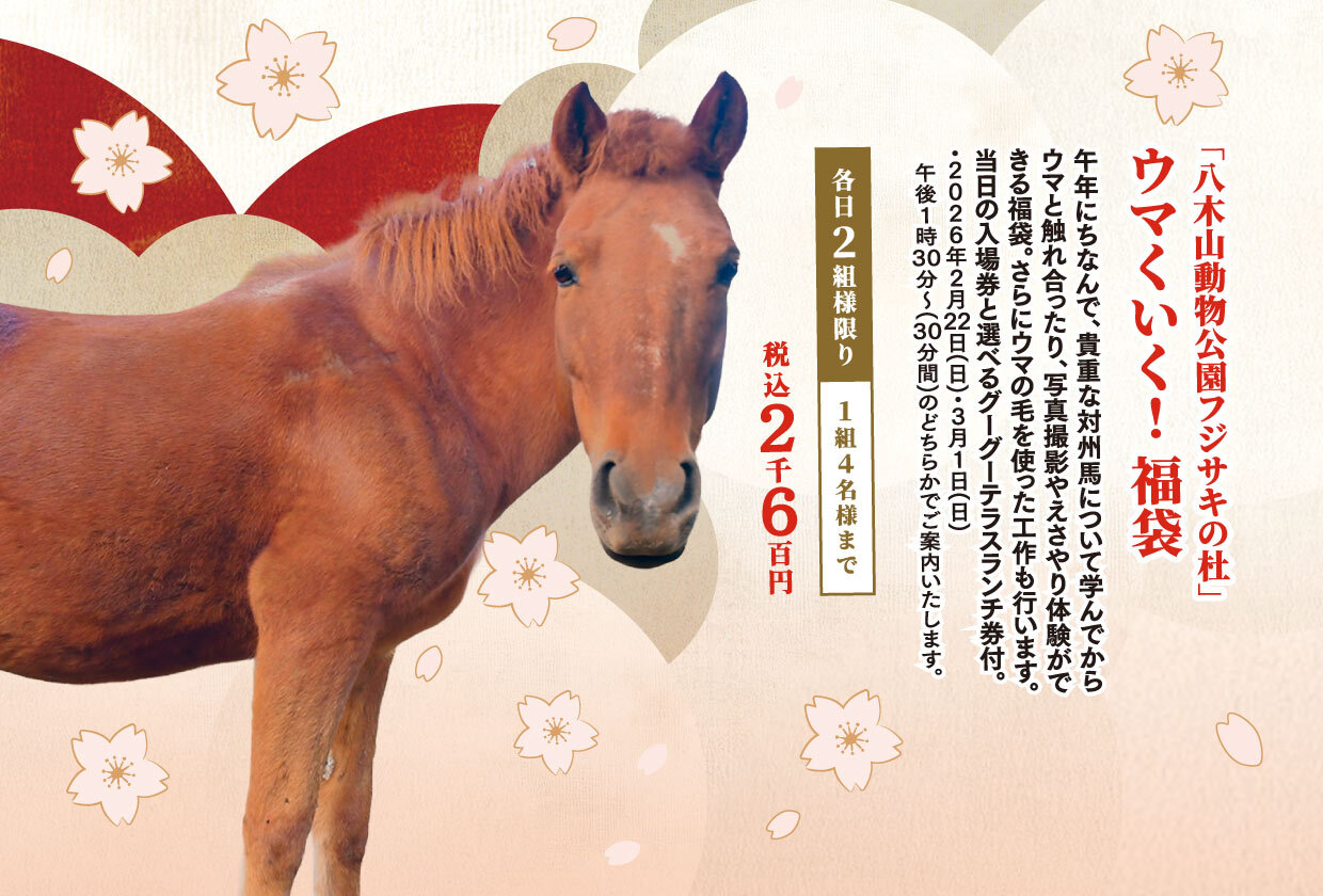 ウマくいく！福袋