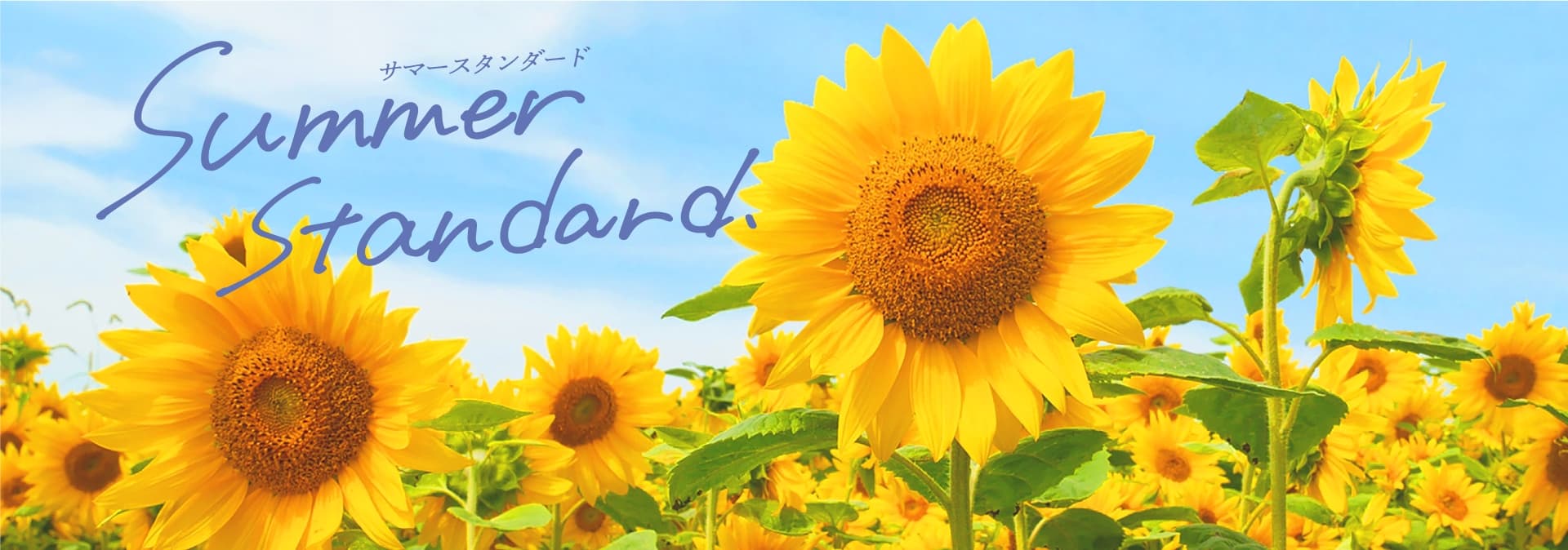 Summer Standard. サマースタンダード